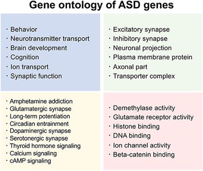 Frontiers | Genomic Strategies for Understanding the Pathophysiology of ...